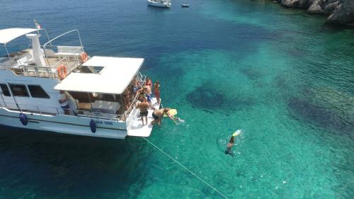 Tuffi nell'Area Marina Protetta di Capo Caccia durante tour in barca da Alghero