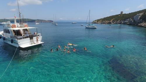 <p>Day trip by motor boat with snorkeling stops in the Gulf of Alghero</p>