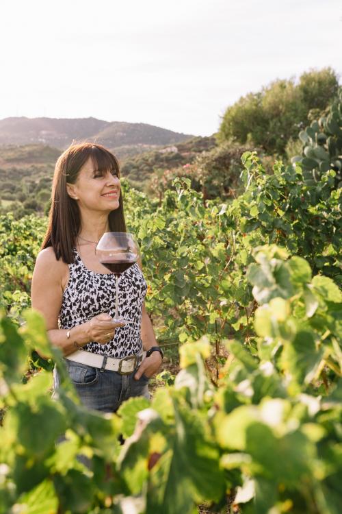 Degustazione di vini nel vigneto