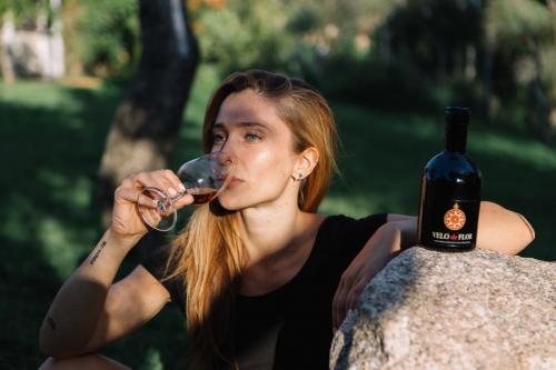 Dégustation de vin dans le vignoble