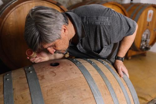 Quality control of the wine in the barrel