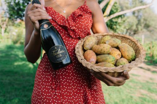 Dégustation de vin rouge avec des produits typiques sardes à Olbia