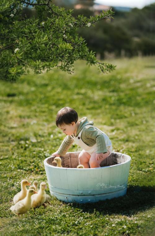 Child plays with ducks in a vineyard in Gallura