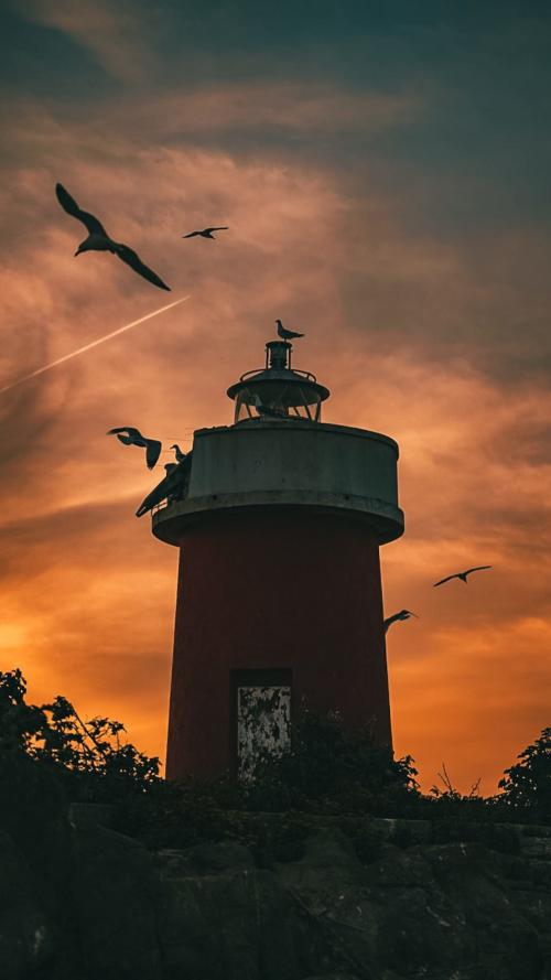 <p>Lighthouse of the deserted island of La Maddalenetta</p><p><br></p>