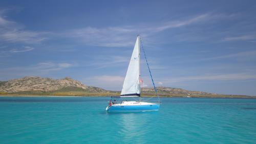 Barca a vela davanti l'Isola dell'Asinara
