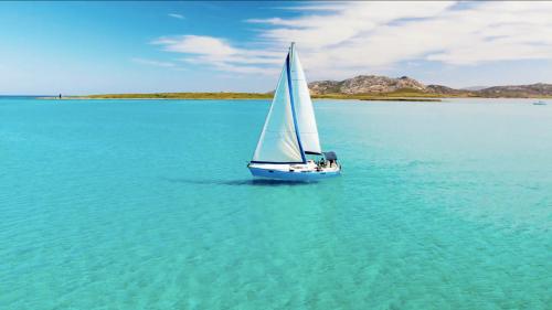 Barca a vela nel Golfo dell'Asinara durante tour