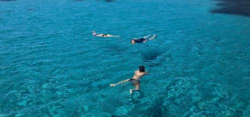 Escursionisti praticano snorkeling nel Golfo dell'Asinara
