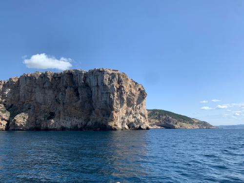 Reef in the Gulf of Alghero