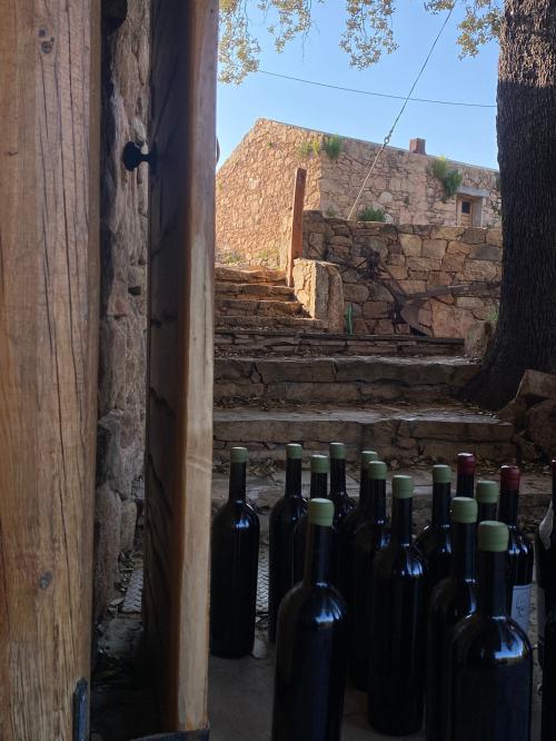 Ancient mansion in Olbia with bottles of wine