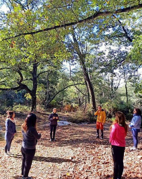 <p>Guide with hikers in a forest during forest bath experience</p>