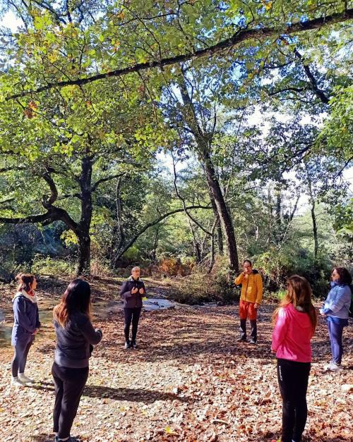 <p>Guía con excursionistas en un bosque durante la experiencia del baño del bosque</p>