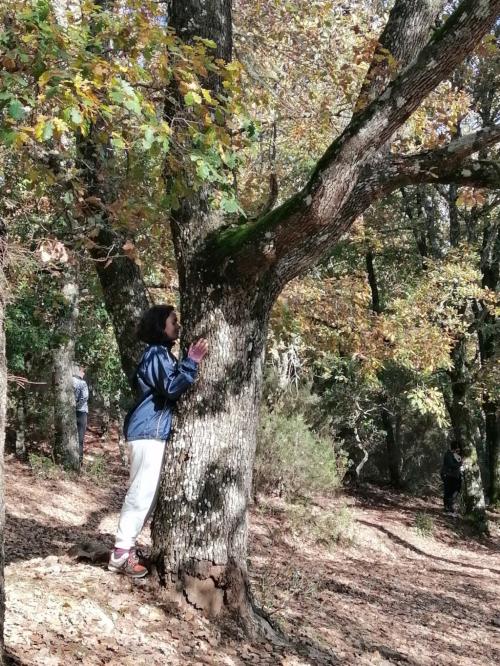 Escursionista e albero in una foresta