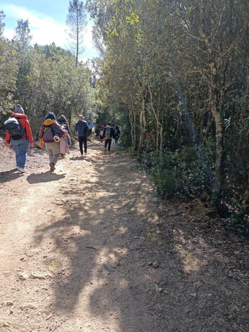 <p>Hikers during walk in the Forest Seven Brothers</p><p><br></p>