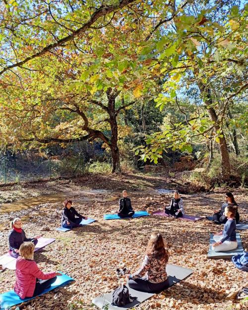 Guida con escursionisti in una foresta durante esperienza del bagno di foresta