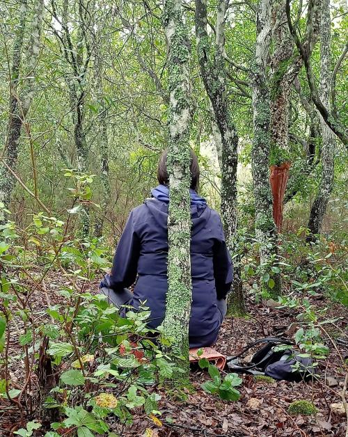 Escursionista e albero in una foresta