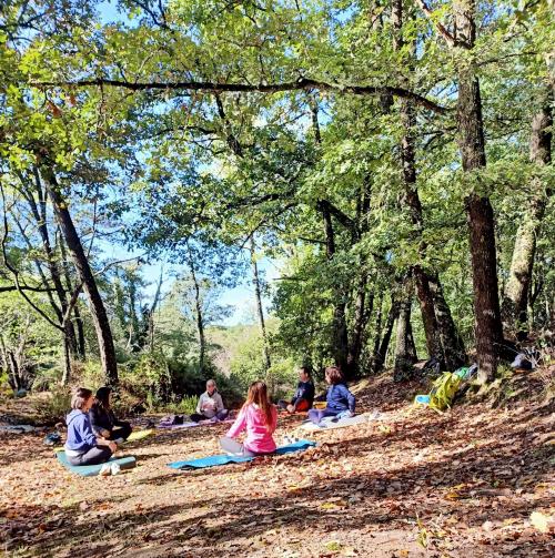 Esperienza con guida sensoriale e profonda in una foresta a Cagliari