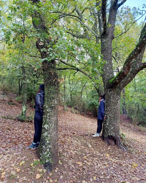 Escursionisti durante escursione in una foresta a Cagliari