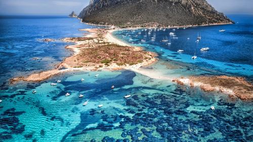 <p>Insel Tavolara und türkisfarbenes Meer</p><p><br></p>