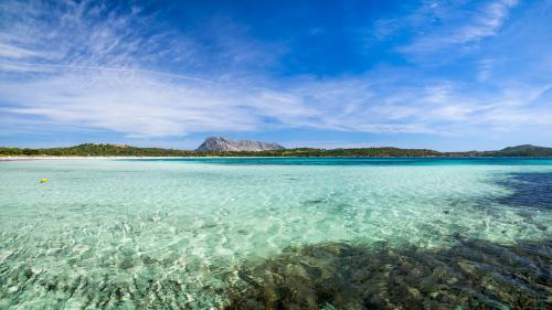 <p>Insel Tavolara und türkisfarbenes Meer</p><p><br></p>