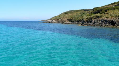 <p>Kristallklares Meer der Insel Asinara</p><p><br></p>