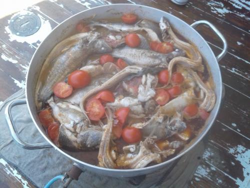 <p>Lunch served on board based on the catch of the day of the Gulf of Asinara</p><p><br></p>