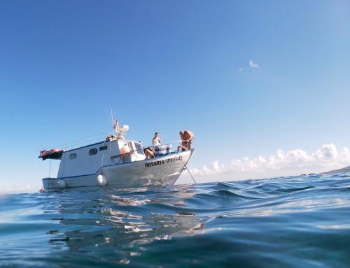 <p>Fischerboot segelt in den Gewässern des Golfs von Asinara</p><p><br></p>