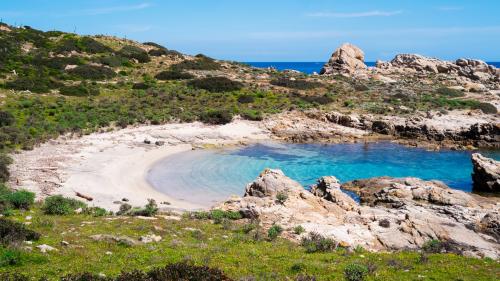 Cala con sabbia fine e acqua limpida sull'isola dell'Asinara