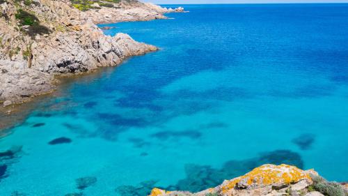 Acque cristalline dell'isola dell'Asinara