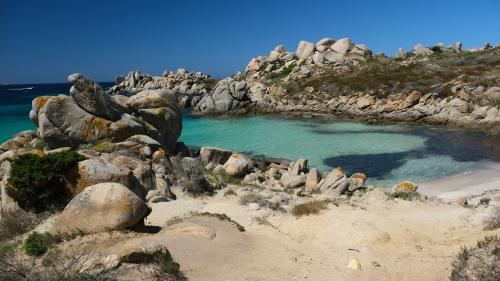 Isola di Lavezzi e mare cristallino in cui fare snorkeling durante tour giornaliero in motoscafo