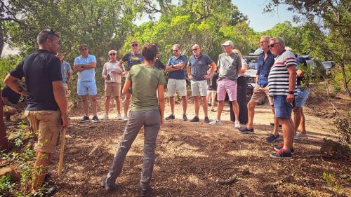 Visite guidée pour découvrir les sites archéologiques de Tempio