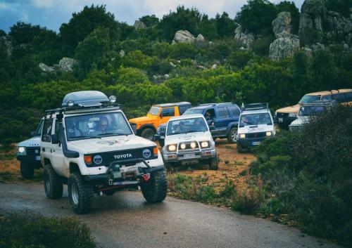 <p>Geländewagen und Wanderer in Mount Limbara</p><p><br></p>