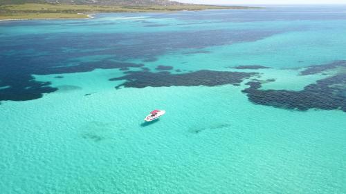 Foto drone barca e Golfo Asinara