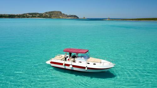 Boot auf dem kristallklaren Meer des Golfs von Asinara