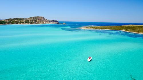 Boot auf dem kristallklaren Meer des Golfs von Asinara