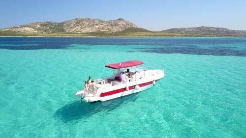 Boat with awning in front of the island of Asinara