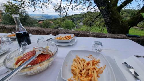 Pasta with sauce prepared during the traditional cooking workshop in the countryside of Montresta
