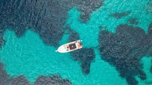 Boat during the tour in the blue sea of the Gulf of Alghero