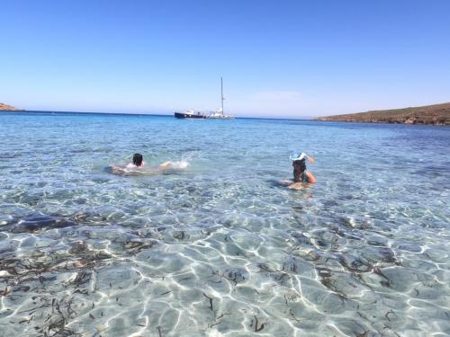 Swim during an excursion in the Gulf of Asinara