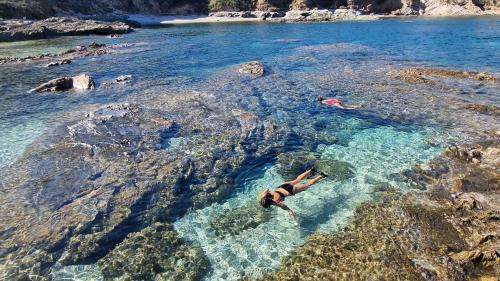 Los participantes practican snorkel en el mar cristalino del noroeste de Cerdeña