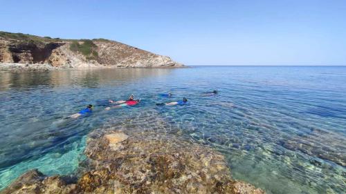 Partecipanti fanno snorkeling nell'acqua della costa nord-ovest della Sardegna