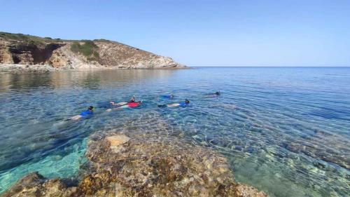 Partecipanti fanno snorkeling nell'acqua della costa nord-ovest della Sardegna
