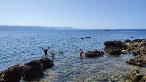 Des participants heureux se baignent dans la mer