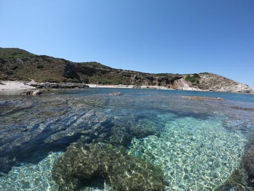 <p>Kristallklares Meer von Nurra im Nordwesten Sardiniens</p><p><br></p>