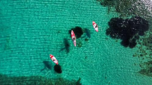 <p>Hikers in SUP in the crystal clear sea of Alghero</p><p><br></p>