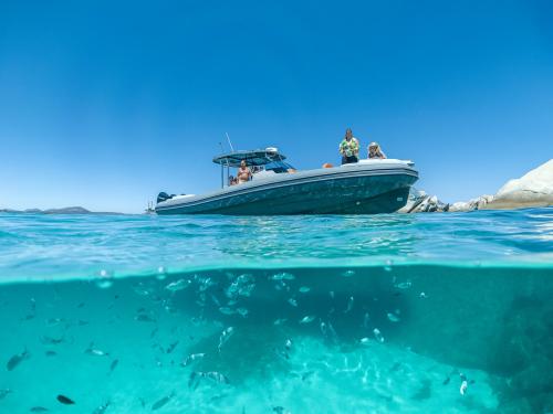 Barca e pesci nel mare di Tavolara durante tour giornaliero