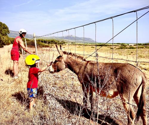 Kind mit Esel auf der Quad-Route mit Führer in Alghero