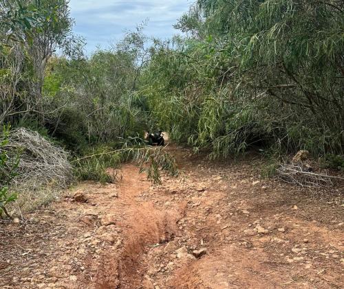 ATV route with guide in Alghero