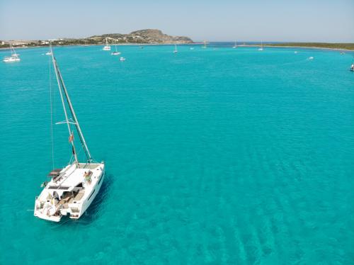 Mare turchese dell'Asinara e catamarano durante tour giornaliero con pranzo a bordo