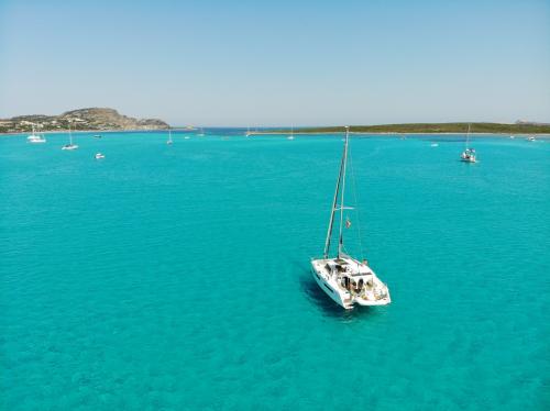 Mare turchese dell'Asinara e catamarano durante tour giornaliero con pranzo a bordo