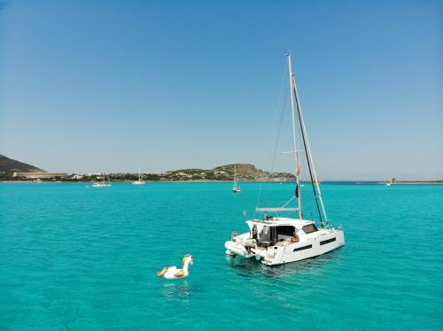 Mare turchese dell'Asinara e catamarano durante tour giornaliero con pranzo a bordo